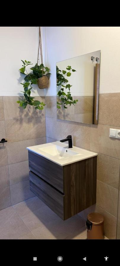 אליקאנטה Suites 5* Lahcene מראה חיצוני תמונה